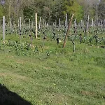 L'atelier @ Le Prielle Madiran