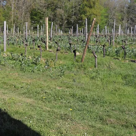 L'atelier @ Le Prielle Madiran