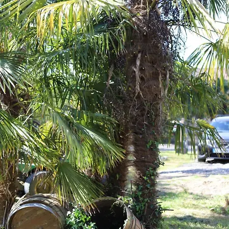 L'atelier @ Le Prielle Madiran