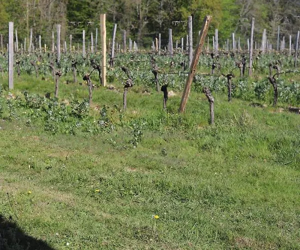 L'atelier @ Le Prielle Madiran